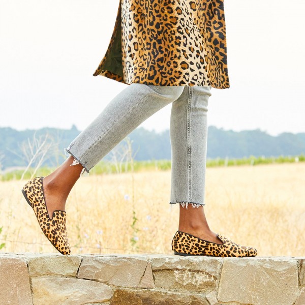 The Starling - Cheetah