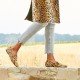 The Starling - Cheetah