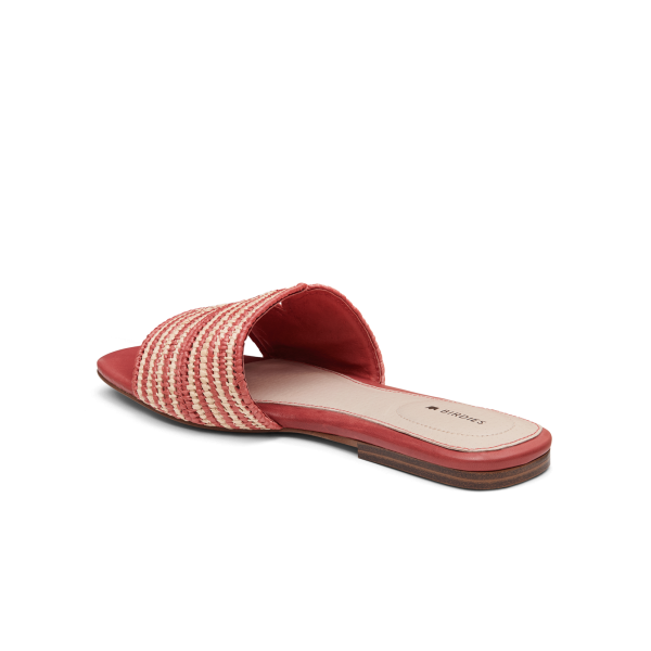 The Kiwi - Terracotta Raffia