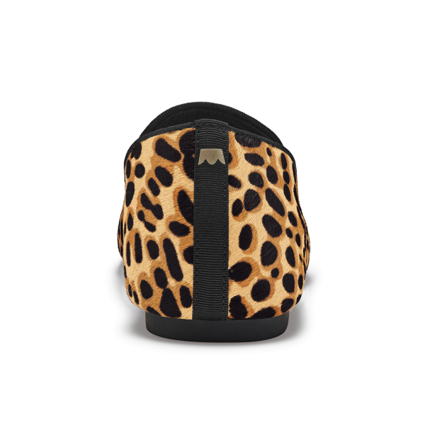 The Starling - Cheetah