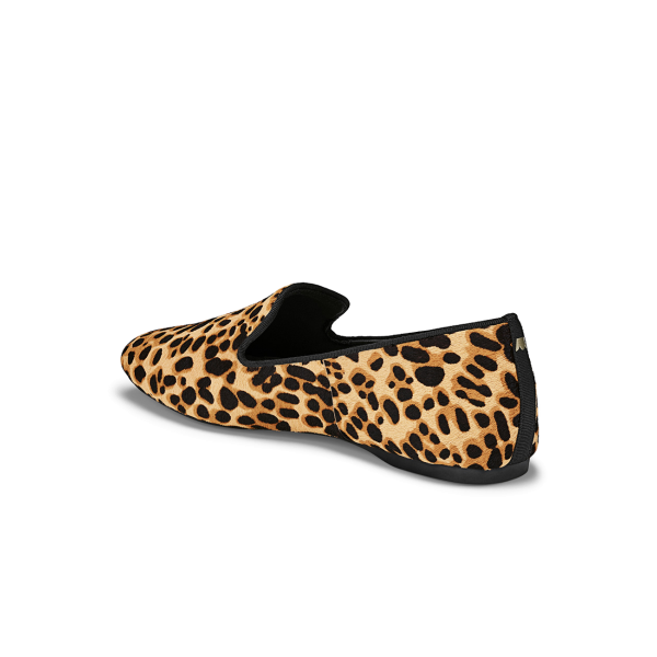 The Starling - Cheetah