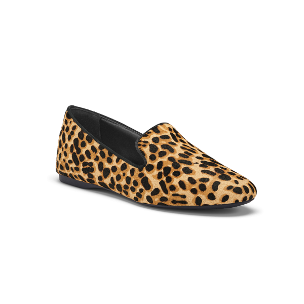 The Starling - Cheetah