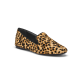 The Starling - Cheetah