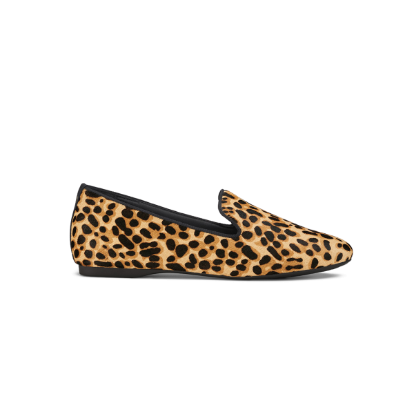 The Starling - Cheetah