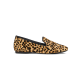 The Starling - Cheetah