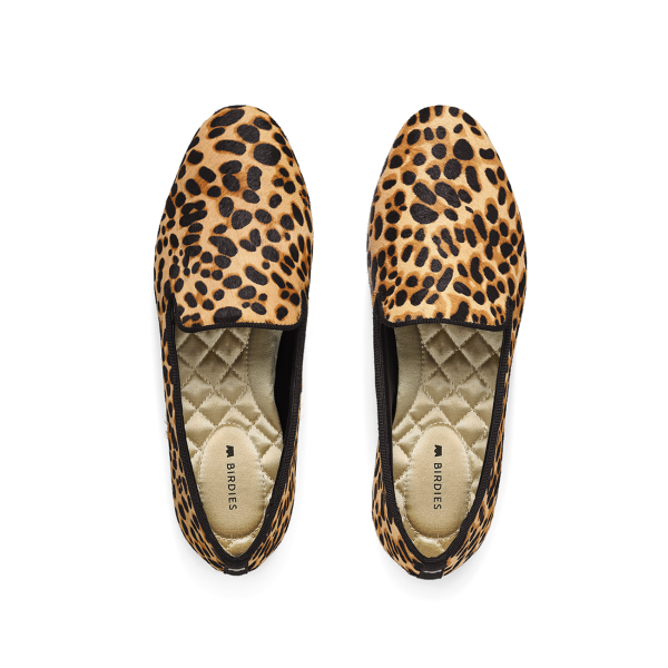 The Starling - Cheetah